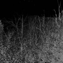 Saturn Form Essence : Saturn Form Essence - Swine Soul